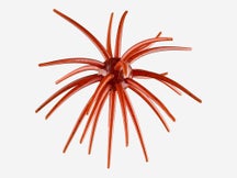 Arsenal Fishing Morning Star Urchin 25mm