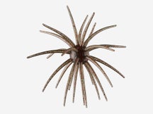 Arsenal Fishing Morning Star Urchin 25mm