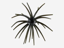 Arsenal Fishing Morning Star Urchin 25mm