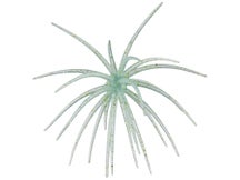 Arsenal Fishing Morning Star 10mm Ghost Voltage