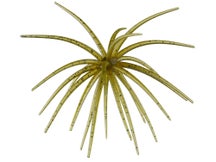 Arsenal Fishing Morning Star Urchin 10mm 2pk