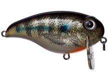BassMooch Wake Z Crankbaits