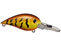 Azuma Brian Snowden Boss Hawg Crankbaits