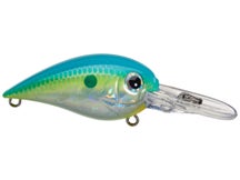 Azuma Brian Snowden Boss Hawg Crankbaits