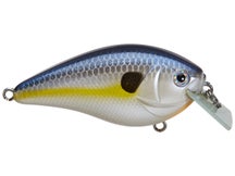Azuma Matt Reed Square Boss Squarebill Crankbaits