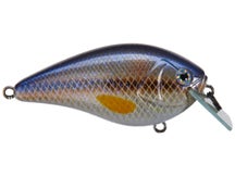 Azuma Matt Reed Square Boss Squarebill Crankbaits