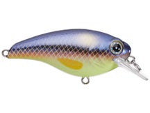 BassMooch Square Dance Crankbaits