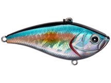 BassMooch Shaker Z Lipless Knock Knock Crankbaits