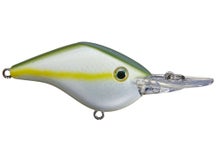 Azuma Timmy Horton Z Boss 06 Crankbaits