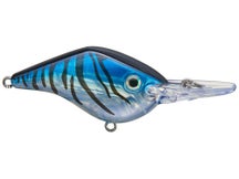 Azuma Timmy Horton Z Boss 06 Crankbaits