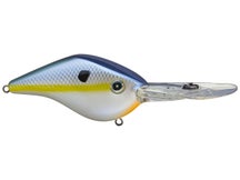 Azuma Timmy Horton Z Boss 20 Crankbaits