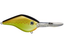 Azuma Timmy Horton Z Boss 20 Crankbaits