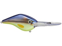 Azuma Timmy Horton Z Boss 22 Crankbaits