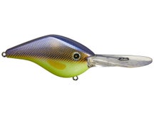 Azuma Timmy Horton Z Boss 24 Crankbaits