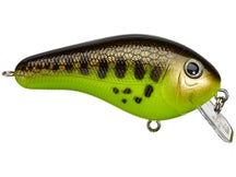 Bagley Rattlin' Kill'r B Squarebill Crankbait