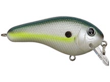 Bagley Rattlin' Kill'r B Squarebill Crankbait