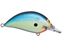 Bagley Balsa Sunny B Shallow Diver Crankbait