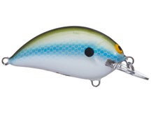 Bagley Balsa Sunny B Shallow Diver Crankbait