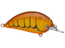 Bagley Sunny B Crusty Crawdad Shallow Diver