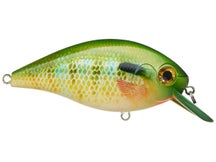 Bass Assets The Kraken 10 Crankbaits