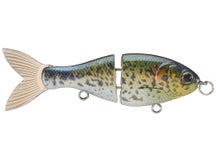 Bucca Brand BFS Trick Shad 2.5"