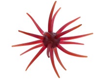 Big Bite Baits Orbix 1pk