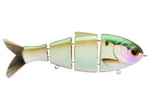 Bucca Brand Bull Shad Gizzard Magic 5"