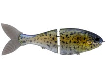 Bucca Brand Trick Shad Sacalait 8"