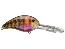 20 feet pole fishing 20' BnM GRAPHITE JIG POLE, ROD CRAPPIE FISHING POLE 20' BGJP204n B&M B'n'M