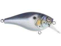 Berkley Squarebull 5.5 Crankbait