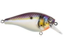 Berkley Squarebull 5.5 Crankbait
