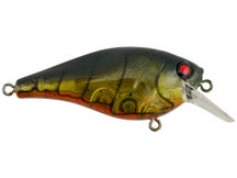 Berkley Squarebull 5.5 Crankbait