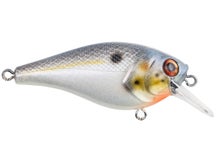 Berkley Squarebull 5.5 Crankbait