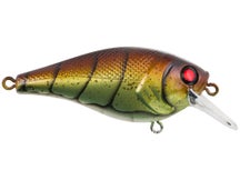 Berkley Squarebull 5.5 Crankbait