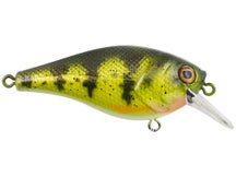 Berkley Squarebull 5.5 Crankbait