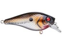 Berkley Squarebull Crankbait Black Silver 3.5