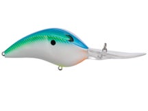 Bill Lewis DR24 Crankbait