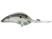 Bill Lewis DR24 Crankbait
