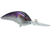 Bill Lewis DR18 Crankbaits