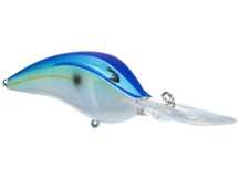 Bill Lewis DR18 Crankbaits