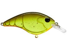 Berkley Clickin' Frittside 5 Crankbait