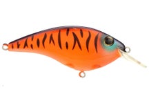 Berkley Clickin' Frittside 5 Biggun Crankbait