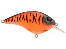 Berkley Clickin' Frittside 5 Jr. Crankbait