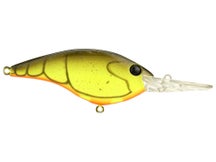 Berkley Clickin' Frittside 9 Crankbait