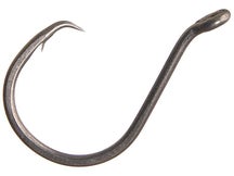 Berkley Fusion19 Circle Hooks