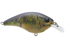 Berkley Frittside HD 5 Crankbait