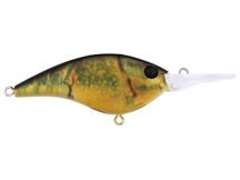 Berkley Frittside HD 7 Crankbait