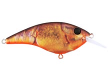 Berkley Frittside HD Brown Craw 5 Biggun