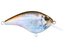 Berkley Frittside HD 5 Jr. Crankbait