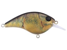 Berkley Frittside HD 5 Jr. Crankbait